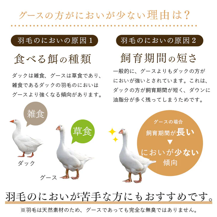［シングルロング・2枚組］においの少ないグースダウン 洗える ダウンケット 日本製 ホワイトグースダウン 93％ 0.3kg 肌掛け布団 夏 夏用 布団〔10106464〕 - Image 11