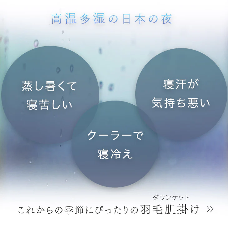 ［シングルロング・2枚組］においの少ないグースダウン 洗える ダウンケット 日本製 ホワイトグースダウン 93％ 0.3kg 肌掛け布団 夏 夏用 布団〔10106464〕 - Image 7