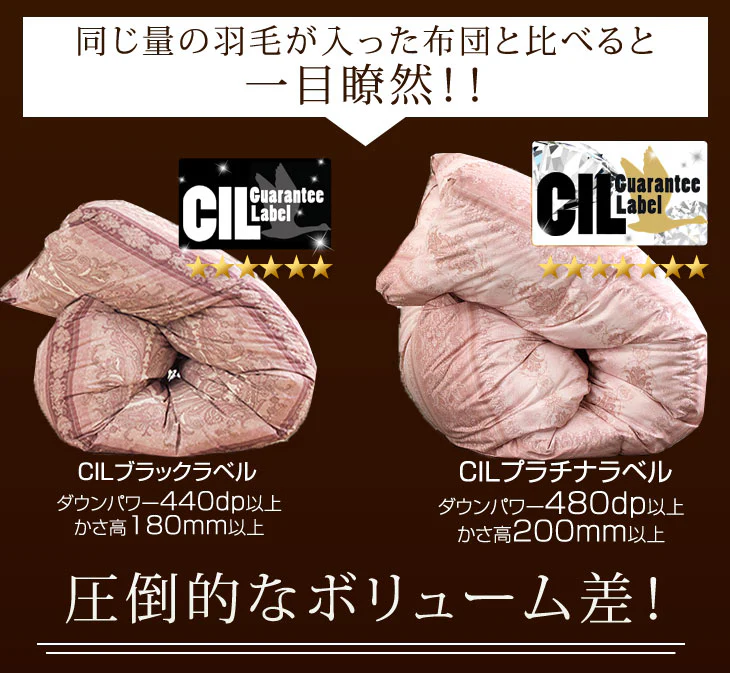 [ダブル] 羽毛布団 増量1.7kg ポーランド産マザーグースダウン95% CILプラチナラベル 二層キルト 超長綿160番手 480dp かさ高200mm以上 10年保証 日本製 〔10119054〕 - Image 9