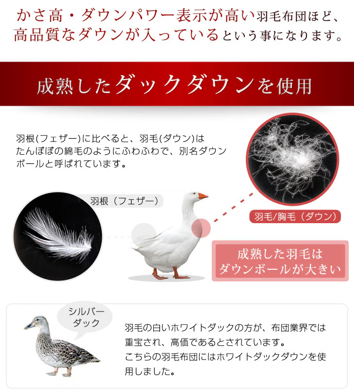 [セミダブル] 2枚合わせ 羽毛布団 ホワイトダックダウン85％ CILレッドラベル 立体キルト 300dp以上 抗菌・防臭 日本製 〔10119065〕 - Image 6