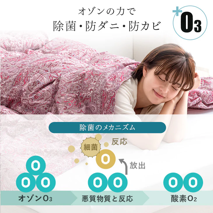 [シングルロング・2枚組]ポーランド産 マザーグース 95% 洗える ダウンケット 日本製 肌掛け布団 羽毛肌掛け布団 夏 夏用 布団〔10119275〕 - Image 15