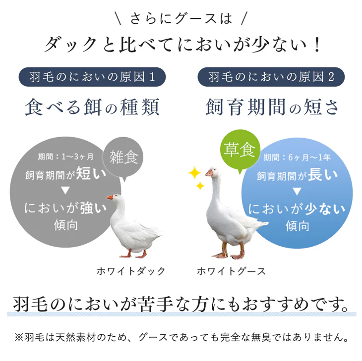 [シングルロング・2枚組]ポーランド産 マザーグース 95% 洗える ダウンケット 日本製 肌掛け布団 羽毛肌掛け布団 夏 夏用 布団〔10119275〕 - Image 7