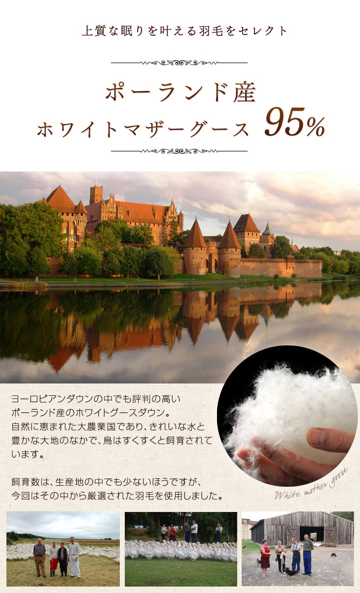 [セミダブル] 羽毛布団 大増量1.6kg 羽毛布団 ポーランド産マザーグースダウン95% CILプラチナラベル 二層キルト 超長綿360番手 484dp かさ高200mm以上 10年保証 日本製 〔10119318〕 - Image 9