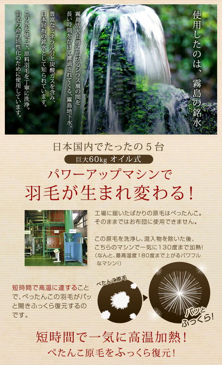 肌掛け布団 日本製 ダウンケット ポーランド産ホワイトマザーグースダウン 95% シングル ロング CILプラチナラベル 消臭 抗菌 夏 夏用 布団【10年保証】〔10119325〕 - Image 13