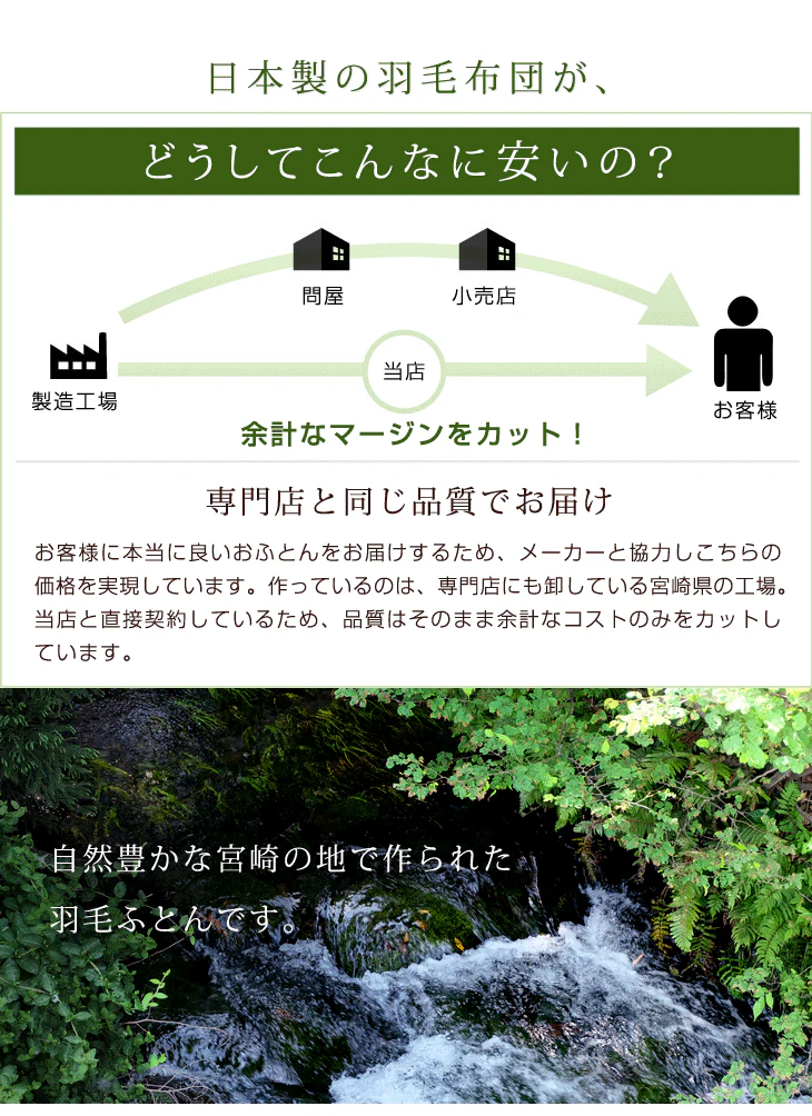肌掛け布団 日本製 ダウンケット ポーランド産ホワイトマザーグースダウン 95% シングル ロング CILプラチナラベル 消臭 抗菌 夏 夏用 布団【10年保証】〔10119325〕 - Image 20