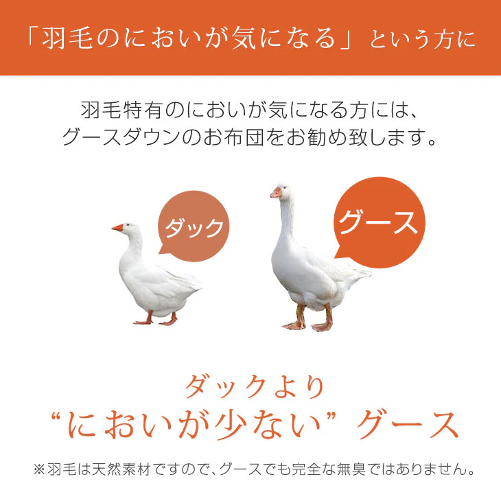 肌掛け布団 日本製 ダウンケット ポーランド産ホワイトマザーグースダウン 95% シングル ロング CILプラチナラベル 消臭 抗菌 夏 夏用 布団【10年保証】〔10119325〕 - Image 5