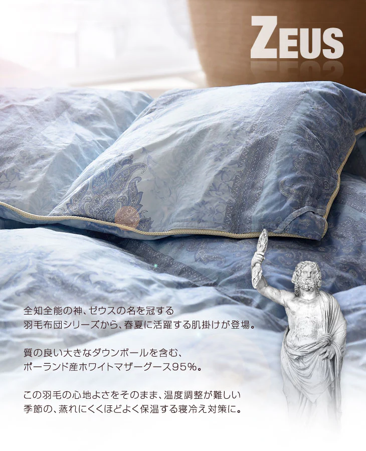 肌掛け布団 日本製 ダウンケット ポーランド産ホワイトマザーグースダウン 95% シングル ロング CILプラチナラベル 消臭 抗菌 夏 夏用 布団【10年保証】〔10119325〕 - Image 6