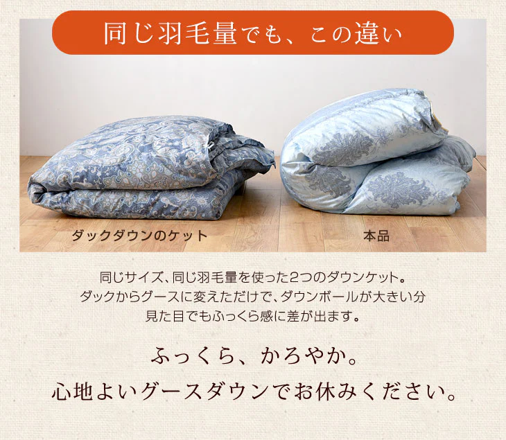 肌掛け布団 日本製 ダウンケット ポーランド産ホワイトマザーグースダウン 95% ダブル ロング CILプラチナラベル 消臭 抗菌 夏 夏用 布団【10年保証】〔10119326〕 - Image 10