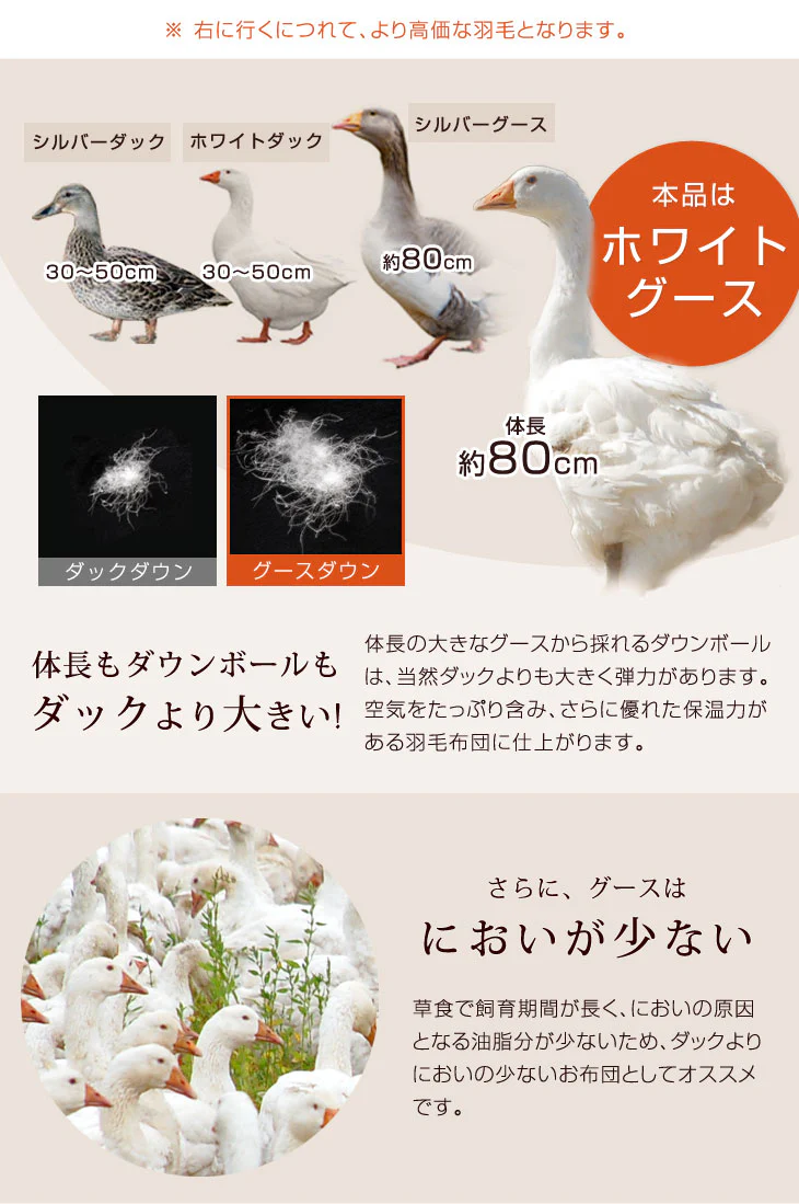 肌掛け布団 日本製 ダウンケット ポーランド産ホワイトマザーグースダウン 95% ダブル ロング CILプラチナラベル 消臭 抗菌 夏 夏用 布団【10年保証】〔10119326〕 - Image 9