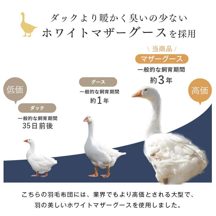【クリアランス】[シングル] 羽毛布団 増量1.2kg ホワイトマザーグースダウン95％ CILブラックラベル 立体キルト 440dp以上 超長綿60サテン 日本製〔39100006〕 - Image 4
