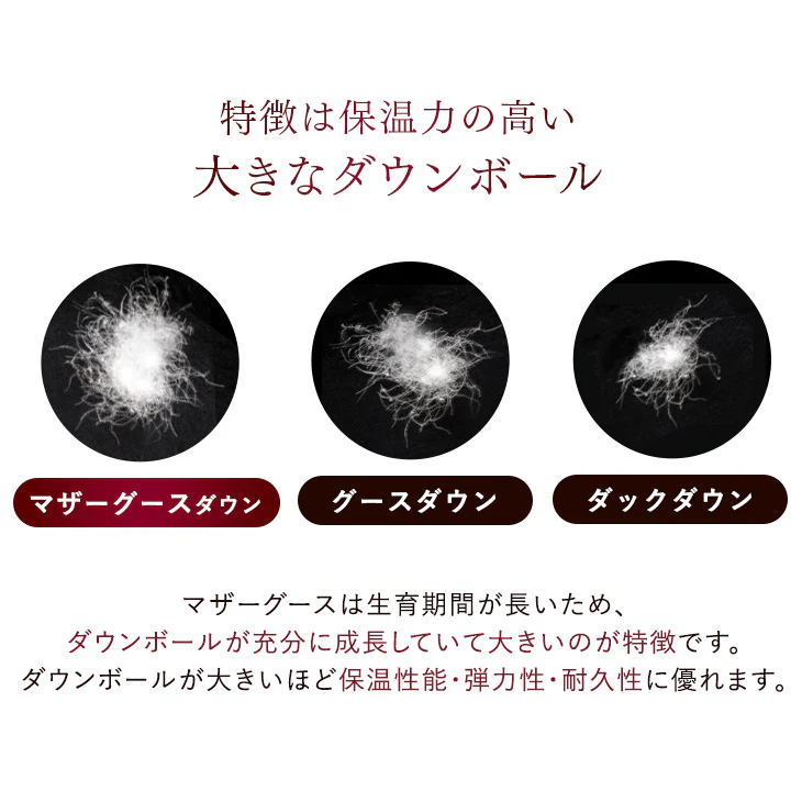 [セミダブル] 羽毛布団 超増量1.7kg 日本製 マザーグースダウン95％ CILブラックラベル 二層キルト 440dp以上 かさ高180mm以上 超長綿 7年保証 〔39100123〕 - Image 5