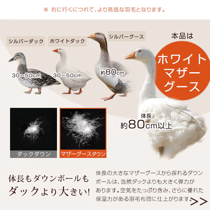 [ダブル] 【柄任せ】増量1.7kg 羽毛布団 マザーグースダウン95％ CILブラックラベル 二層キルト 440dp以上 日本製 〔39100343〕 - Image 7