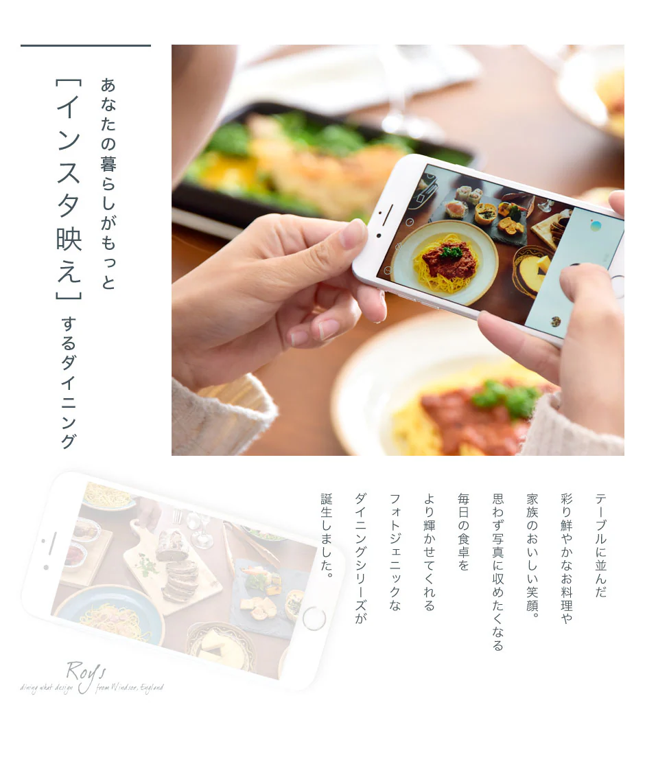 ［幅120cm］ ダイニングテーブルセット 5点 4人掛け 長方形 チェア〔49600024〕 - Image 3