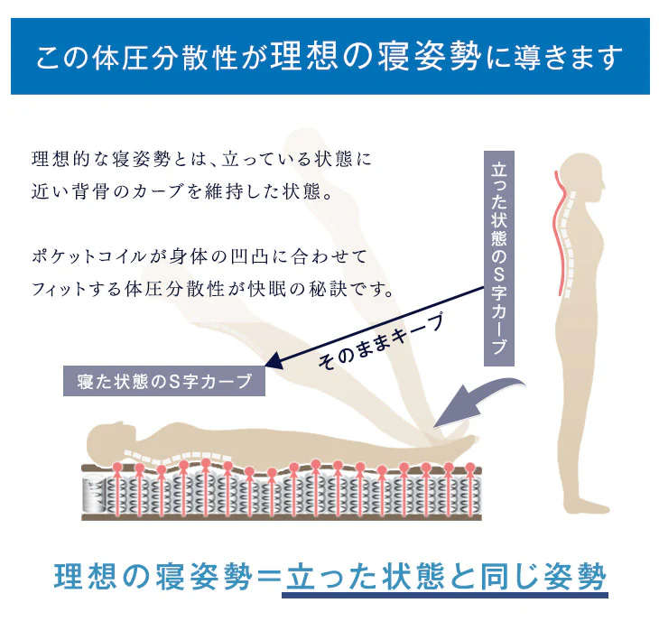 ［ダブル］すのこベッド 3ゾーン構造 ポケットコイルマットレス付 宮棚＆2口コンセント 宮棚付き マットレスセット 〔49600821〕 - Image 15