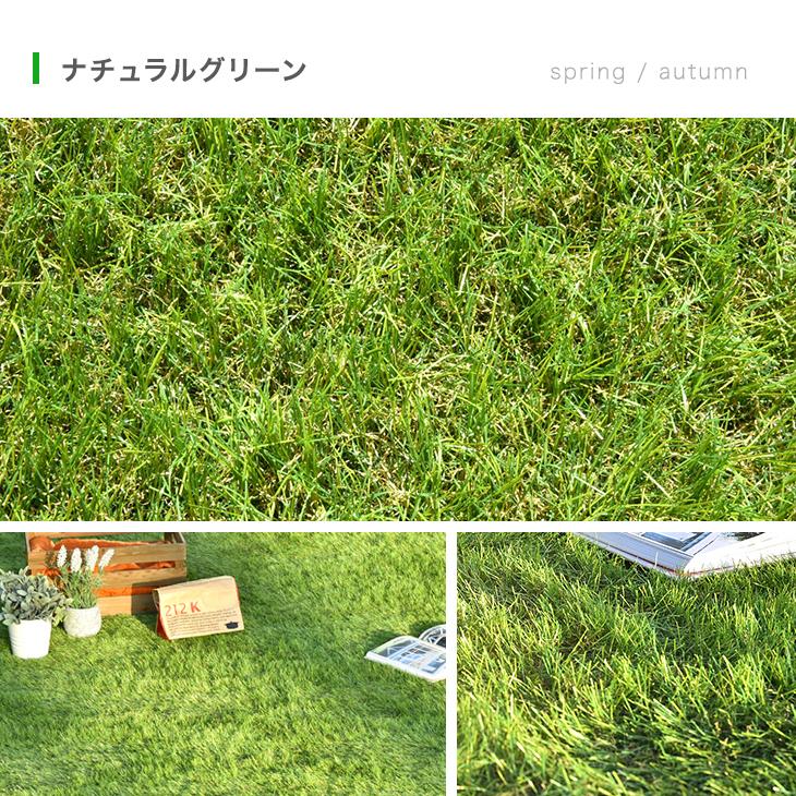 [1m×10m] リアル人工芝 高耐久 芝生ロール  高密度44万本/m2 芝丈35mm ロール 人工 芝 diy マット〔50900017〕 - Image 18