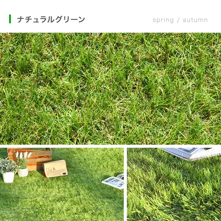 ベランダにお勧め! スリム 高密度リアル 人工芝 芝生 0.5m×10m 芝丈35mm 高密度 幅50cm ロール U字ピン12本 付き〔50900084〕 - Image 7