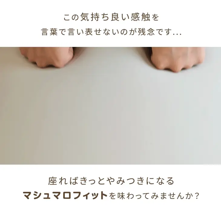 メガ盛 充填量4.5kg もちっとフィット ビーズクッション 洗えるカバー コンパクトソファ〔67300008〕 - Image 4