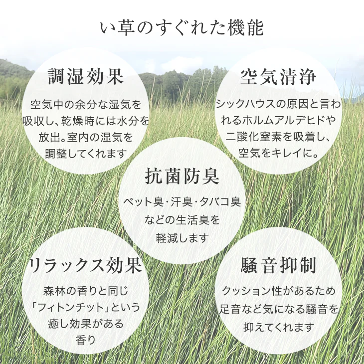 【32枚 厚み2.5cm 6畳用】敷くだけカンタン 置き畳 軽量 い草 抗菌 防臭 防音 滑り止め 床暖房対応 琉球畳 和室 賃貸〔86212001〕 - Image 13