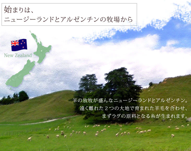 手織り ウールラグ ギャベ ラグ 200×250 厚手 ウール 100％ グラデーション 長方形 北欧 ラグマット カーペット ギャッベ インドギャベ 絨毯 じゅうたん おしゃれ〔87250020〕 - Image 12