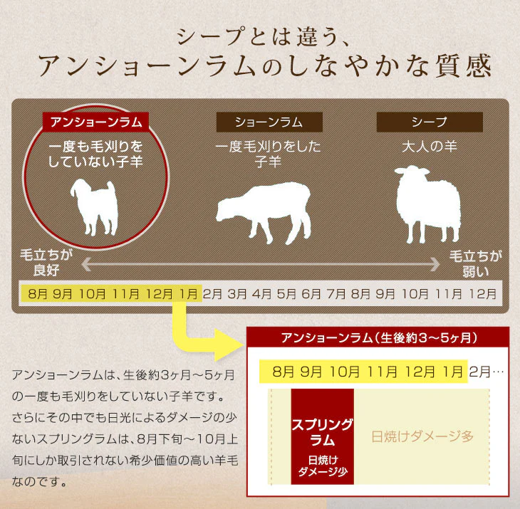 [100×200] ムートンラグ シングル 日本製 抗菌 防ダニ 消臭 短毛 敷パッド〔87250140〕 - Image 6