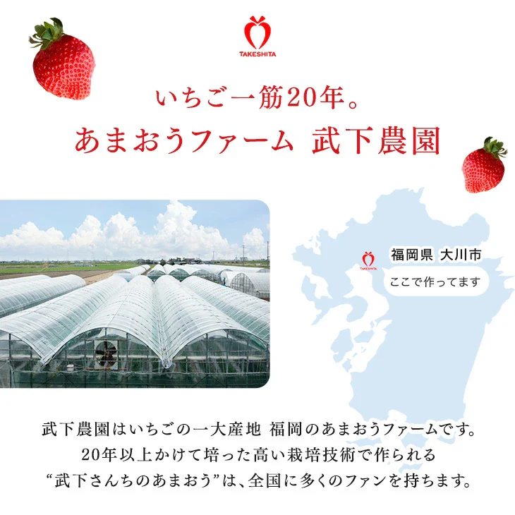 大容量 2L 武下さんちの“完熟” あまおうジェラート 究極いちご含有率56％ 福岡県 大川 アイスクリーム シャーベット パーティー バーベキュー イチゴ スイーツ ファミリー 無着色〔89600016〕 - Image 3