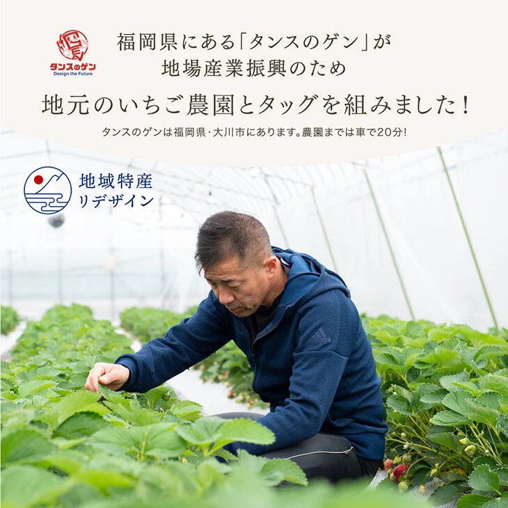 武下さんちの“完熟” あまおうそのまま85%ジャム 2瓶 4瓶 8瓶 セット 手作り 無添加 完熟 日本製 ギフト〔89600021〕 - Image 4