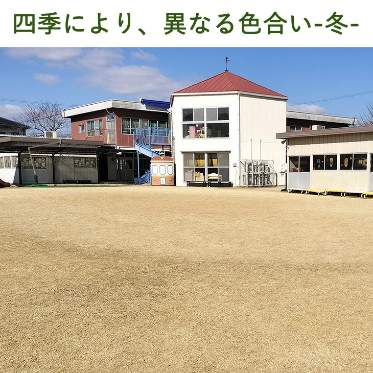 産地直送 高麗芝 or 姫高麗芝 天然芝 1.5平米 日本製 DIY 国産〔9310000〕 - Image 5