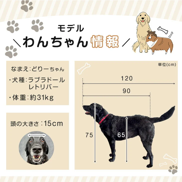 ［2ドア・12枚セット］大型犬対応 バリアフリー ペットサークル 高さ 100cm 超ハイタイプ 折りたたみ 拡張〔99900601〕 - Image 15